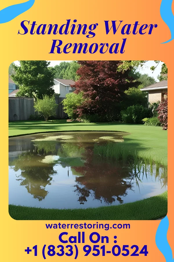 Standing Water Removal in Jeffersonville, KY